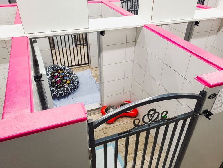 Glendora Pet Hotel & Day Camp American Pet Resort & Spa